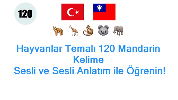 Hayvanlar Temalı 120 Mandarin Kelime: Sesli ve Sesli Anlatım ile Öğrenin!